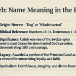 Caleb Name Meaning in the Bible