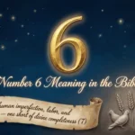 Number 6 Meaning in the Bible