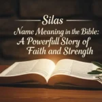 Silas Name Meaning in Bible