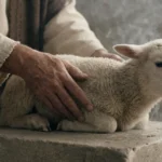 Offerings Meaning in the Bible