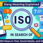 ISO Meaning Slang