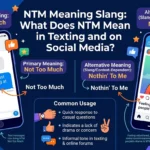 NTM Meaning Slang