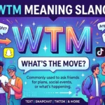 WTM Meaning Slang