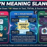 YN Meaning Slang